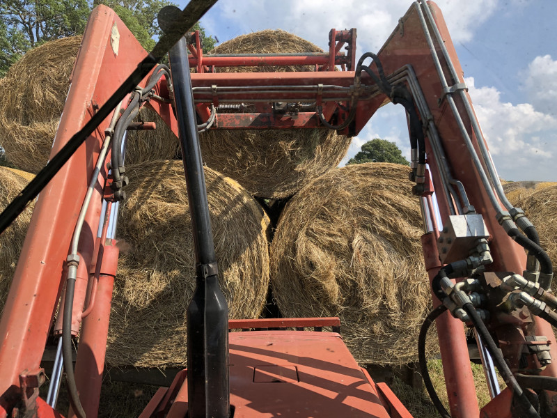 5B3E4354-6905-46EA-AFA4-9D3C737A2F4B.jpeg (449.8 Kio) Vu 2463 fois Le 82 94 au chargement des bottes