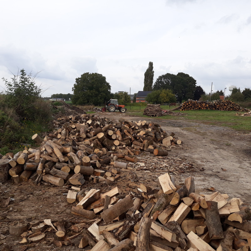 20211011_153349.jpg (371.56 Kio) Vu 7249 fois Je pense que vous reconnaîtrez le modèle