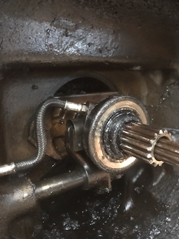 IMG_71601 (3) butee.jpg