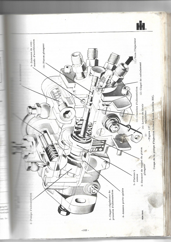 Scan.jpg
