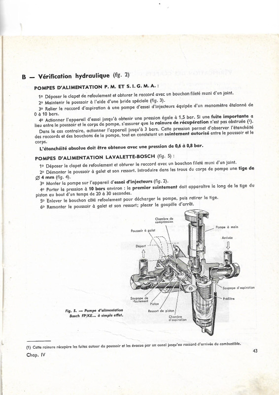 Scan.jpg
