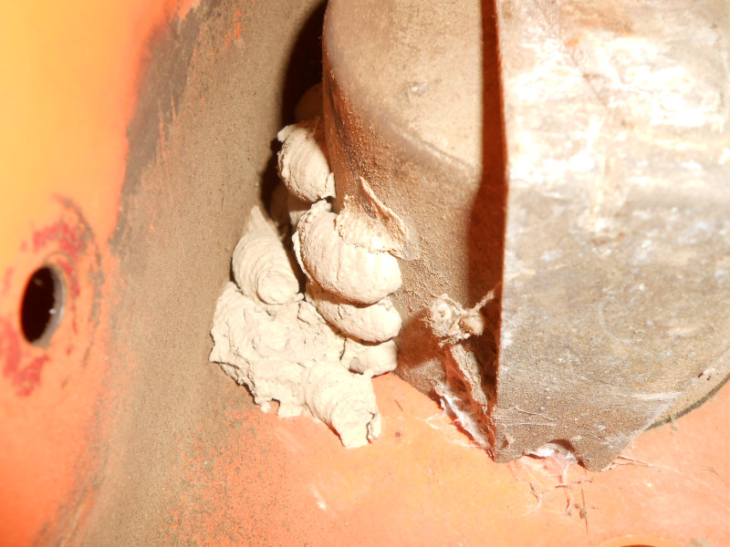 DSCN9959.JPG