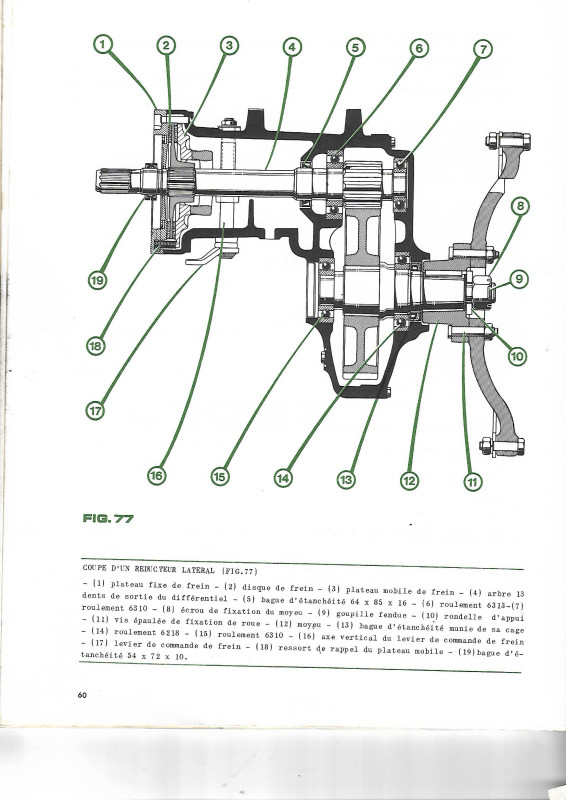 Scan.jpg