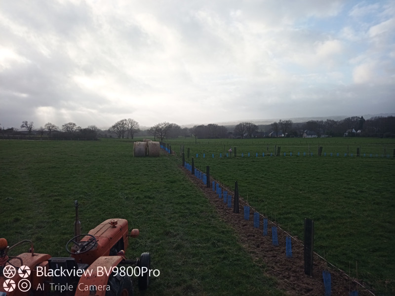 IMG_20230311_180524.jpg (252.89 Kio) Vu 1830 fois IMG_20230311_180524.jpg