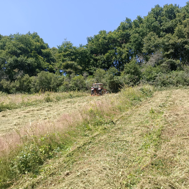 IMG20240708142933.jpg