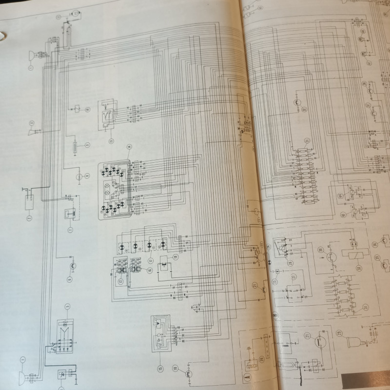 IMG20241120100109.jpg