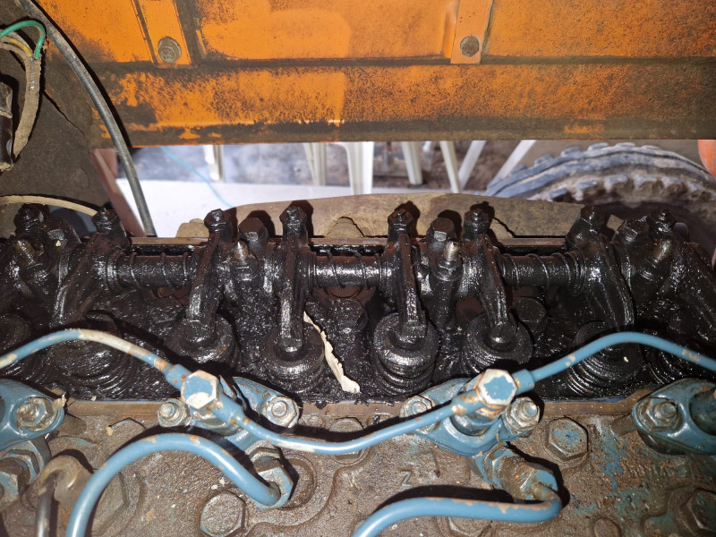 WhatsApp Image 2026-02-20 at 20.25.37.jpeg