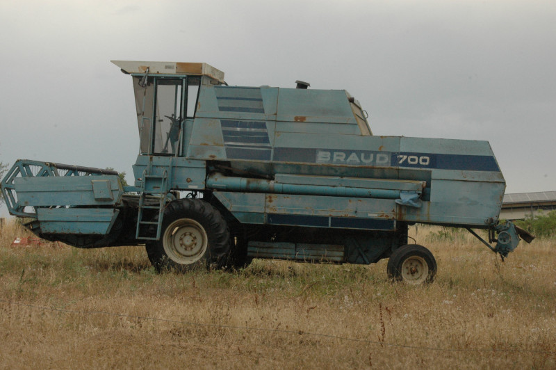 DSC_7087.JPG