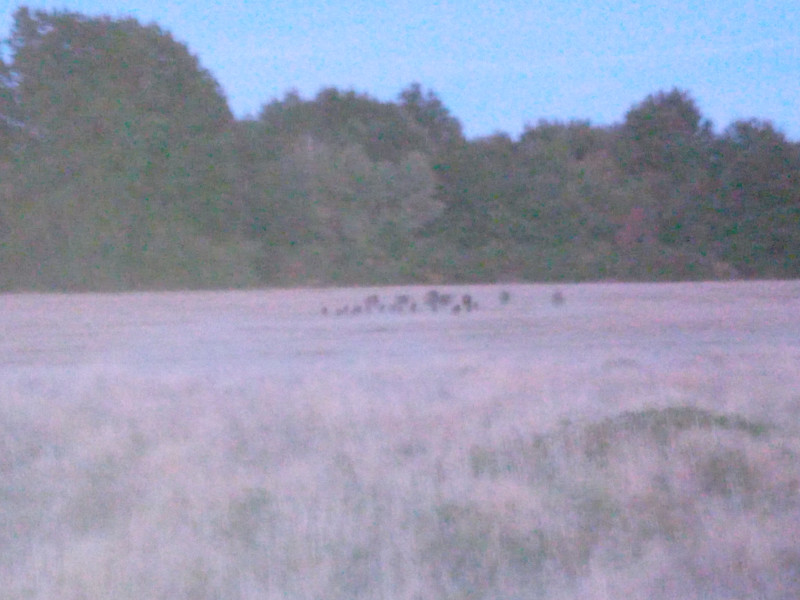 20260910_204442.jpg
